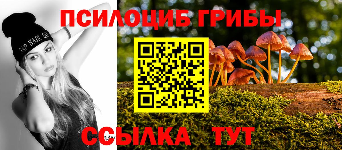 Псилоцибиновые грибы мухоморы  закладка  Отрадное  Вход с VPN 