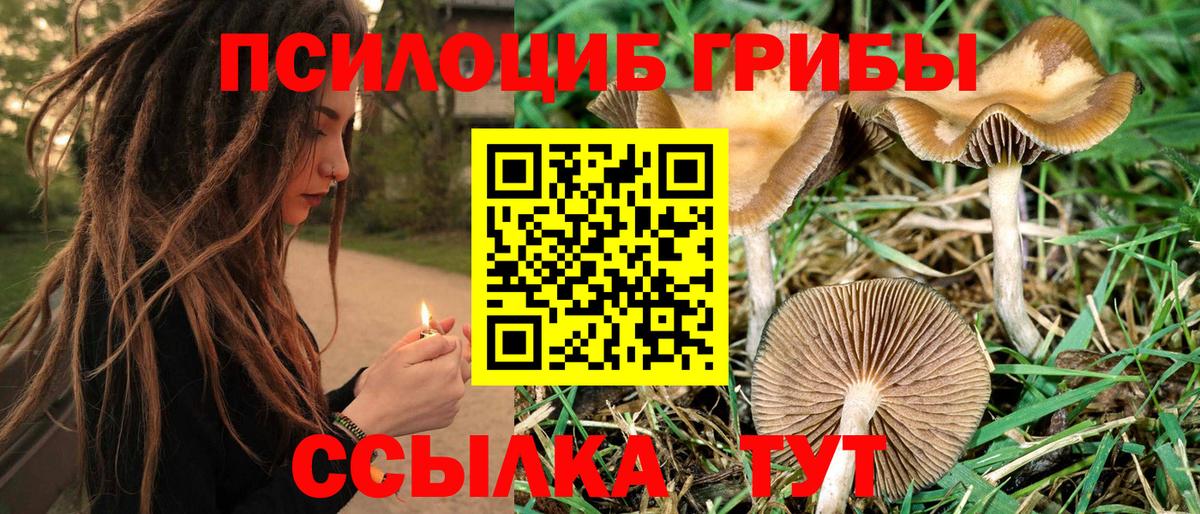 Галлюциногенные грибы мухоморы Отрадное